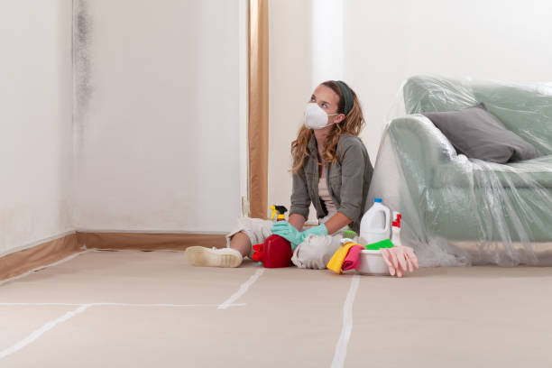 Reliable Mold Remediation contractor in Danvers, MA by 24 Hour Mold Removal