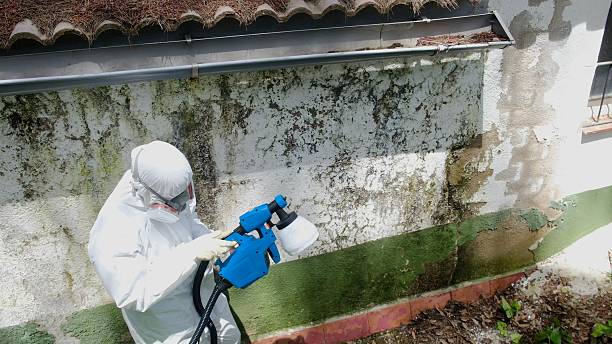Top rated local Mold Remediation specialists in Danvers, MA